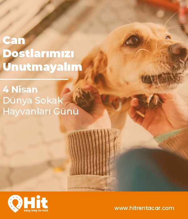 can dostlarımızı unutmayalım